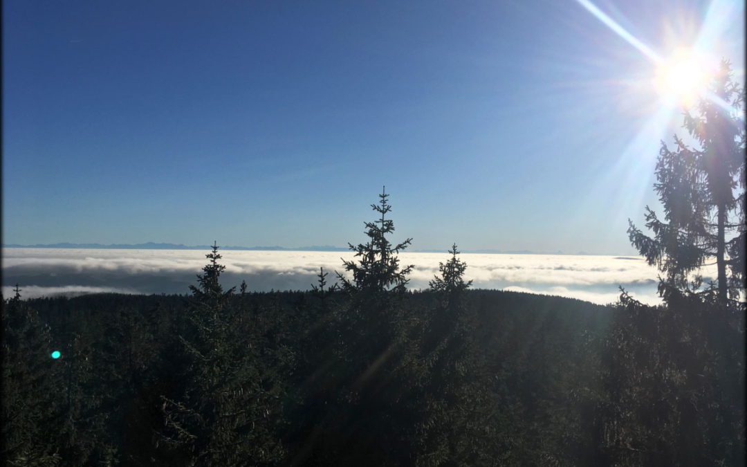 Cyklovýlet na rozhlednu Barenstein a Vlčí farmu 10. 11. 2018